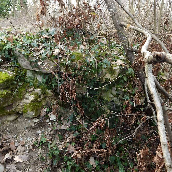 Photo de Vestiges du château de Butenheim