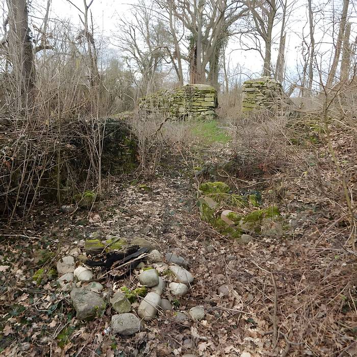 Photo de Vestiges du château de Butenheim