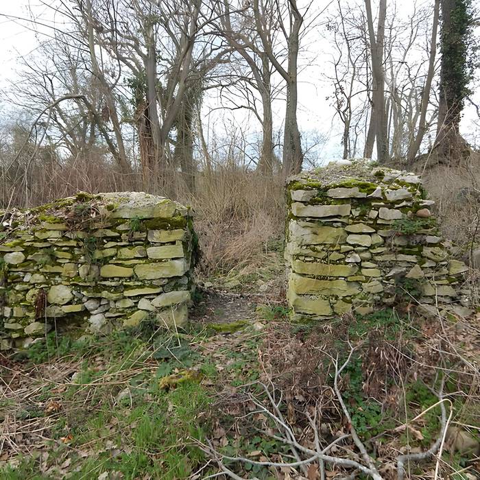 Photo de Vestiges du château de Butenheim