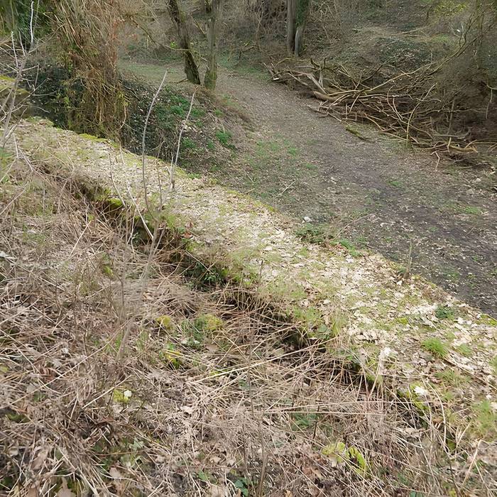 Photo de Vestiges du château de Butenheim