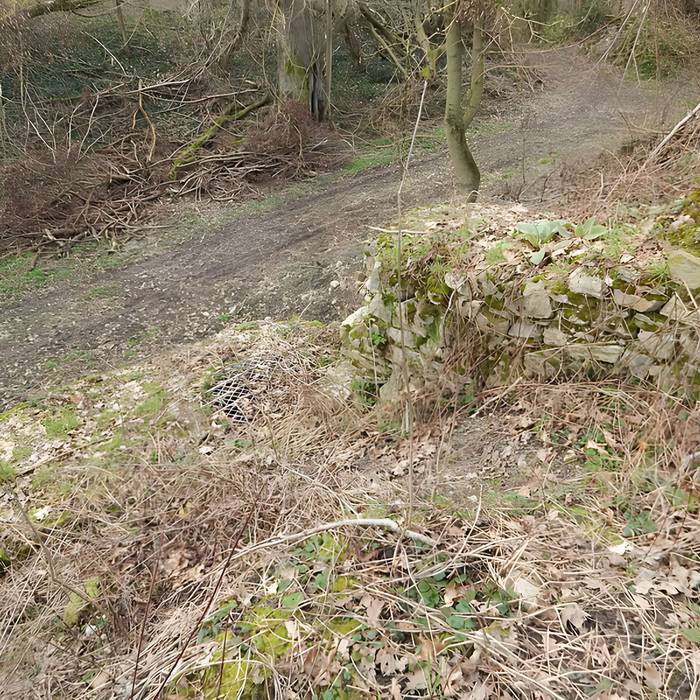 Photo de Vestiges du château de Butenheim