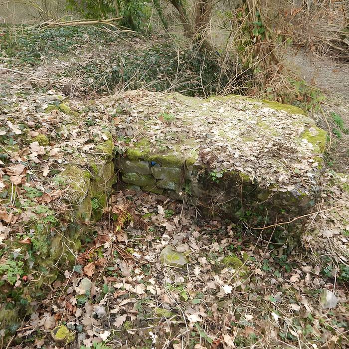 Photo de Vestiges du château de Butenheim