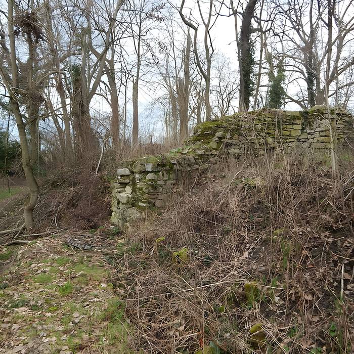 Photo de Vestiges du château de Butenheim