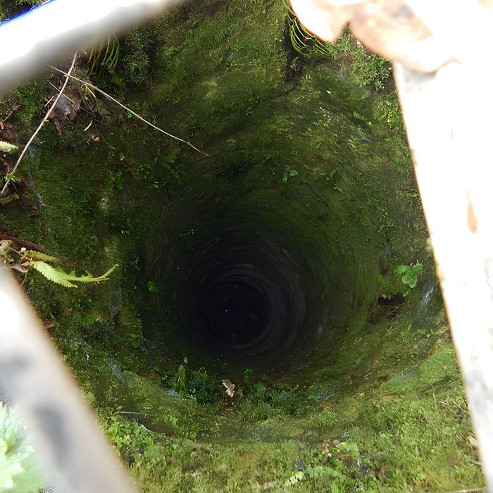 Photo de Vestiges du château de Butenheim