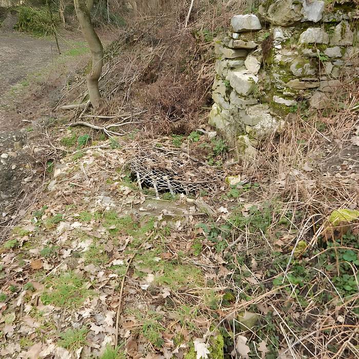 Photo de Vestiges du château de Butenheim