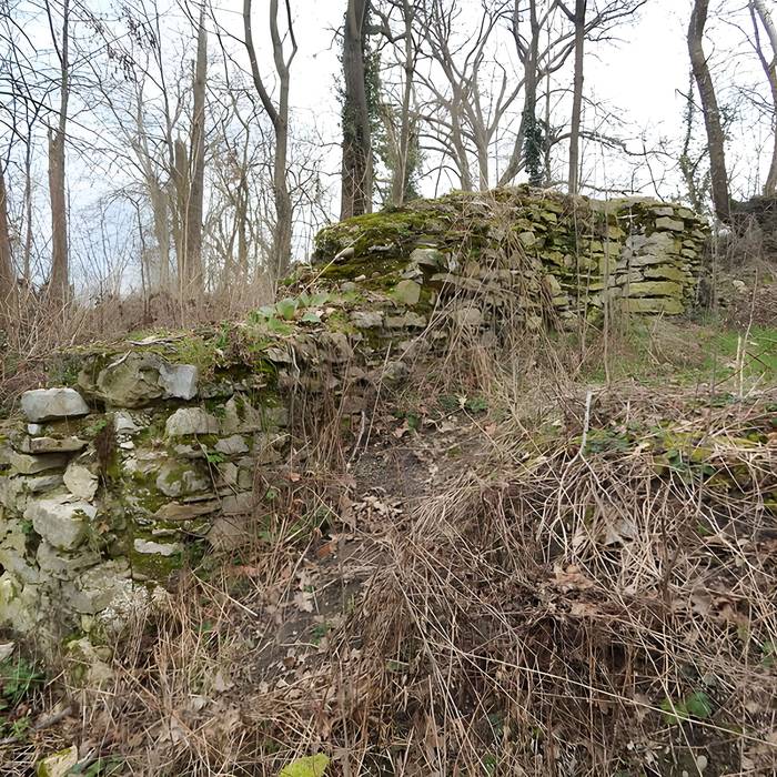 Photo de Vestiges du château de Butenheim