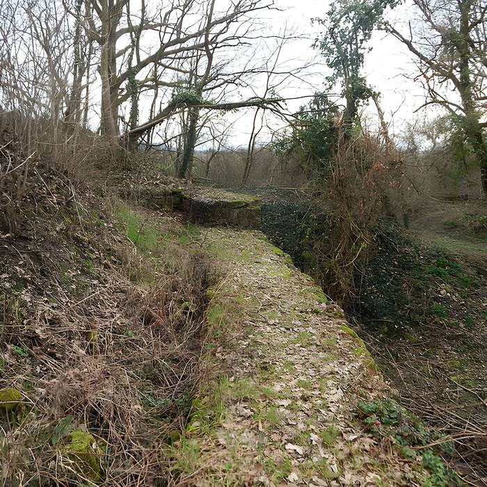 Photo de Vestiges du château de Butenheim