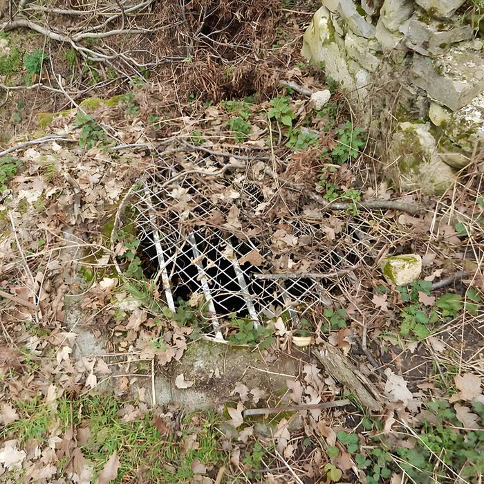 Photo de Vestiges du château de Butenheim