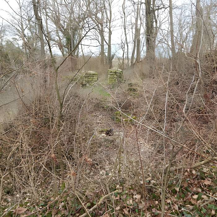 Photo de Vestiges du château de Butenheim