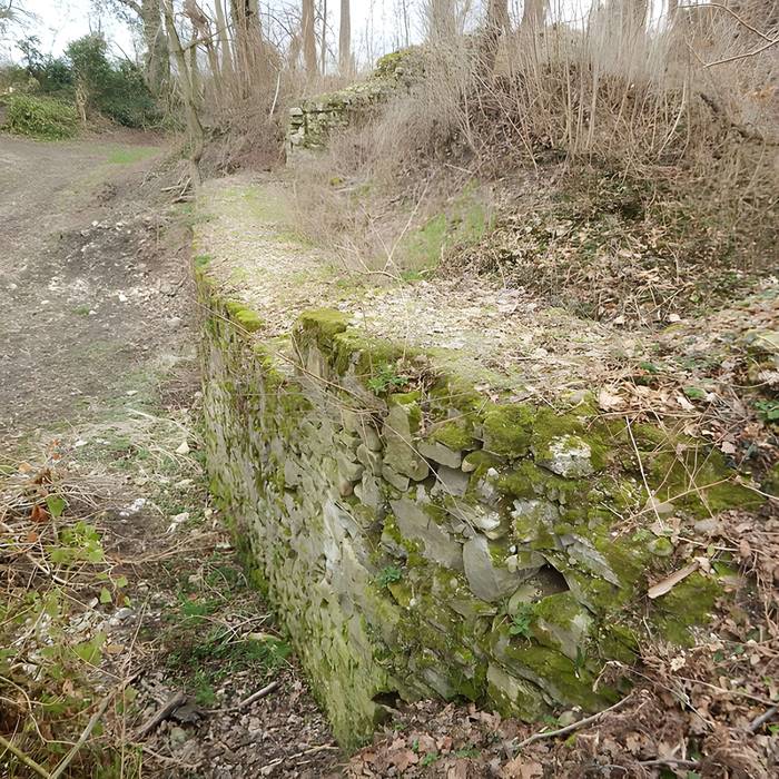 Photo de Vestiges du château de Butenheim
