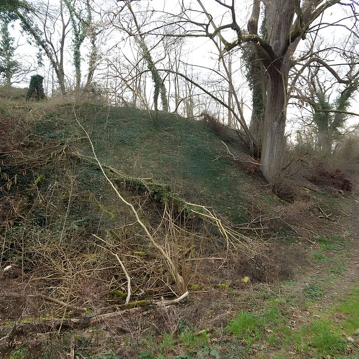 Photo de Vestiges du château de Butenheim