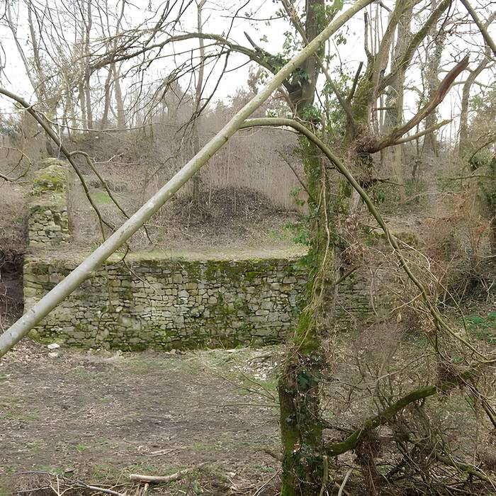 Photo de Vestiges du château de Butenheim