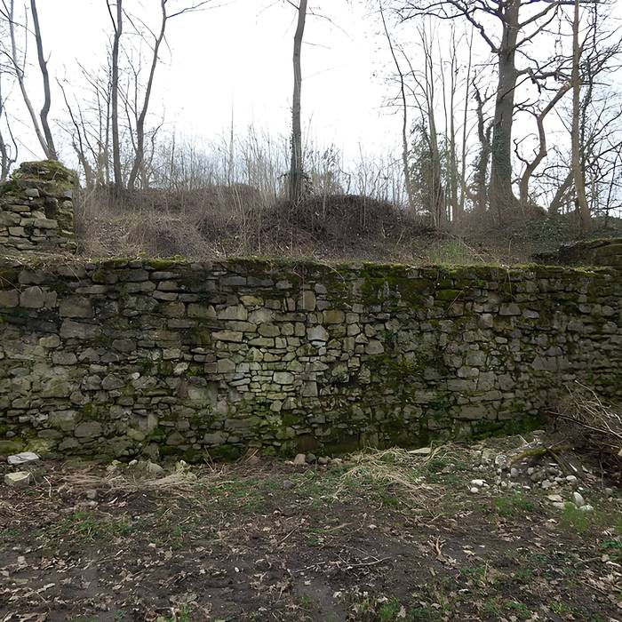 Photo de Vestiges du château de Butenheim