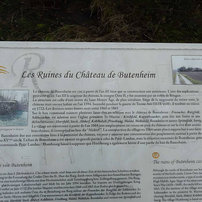 Photo de Vestiges du château de Butenheim