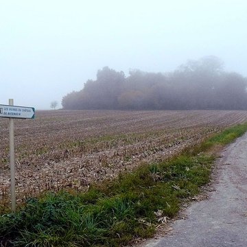 Vestiges du château de Butenheim