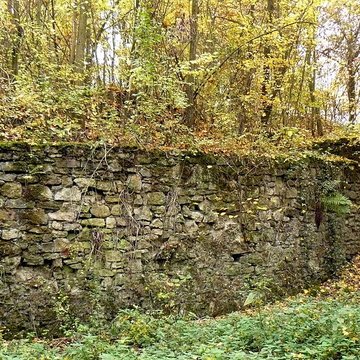 Vestiges du château de Butenheim