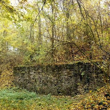 Vestiges du château de Butenheim