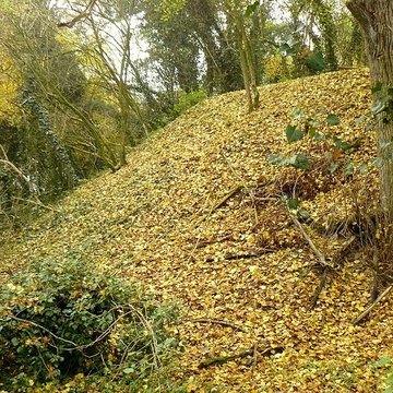 Vestiges du château de Butenheim