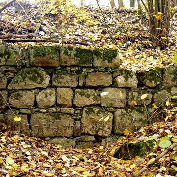 Vestiges du château de Butenheim