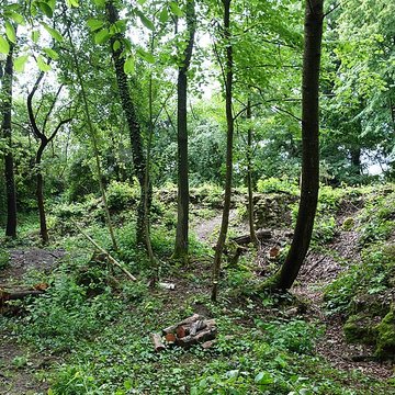 Vestiges du château de Butenheim