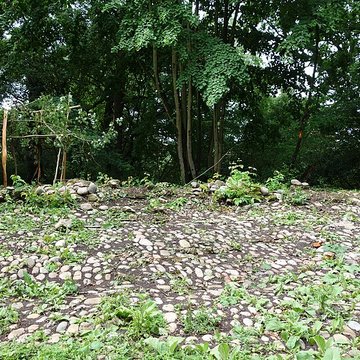 Vestiges du château de Butenheim