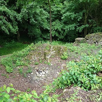 Vestiges du château de Butenheim