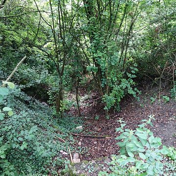 Vestiges du château de Butenheim