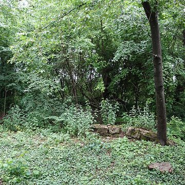 Vestiges du château de Butenheim