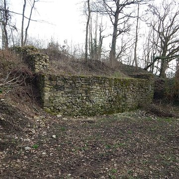Vestiges du château de Butenheim