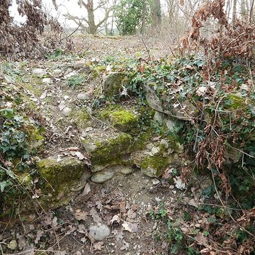 Vestiges du château de Butenheim