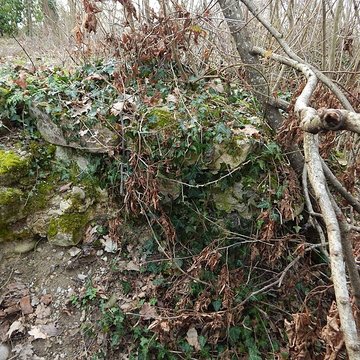 Vestiges du château de Butenheim