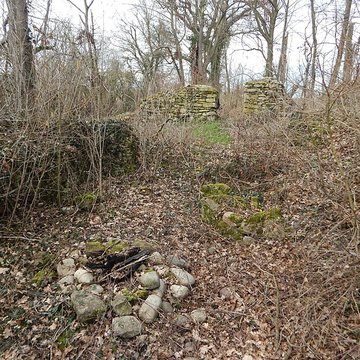 Vestiges du château de Butenheim