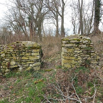 Vestiges du château de Butenheim
