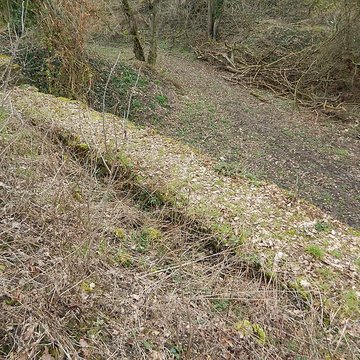 Vestiges du château de Butenheim