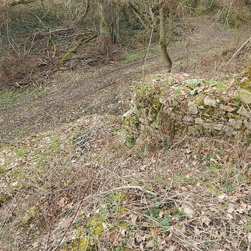 Vestiges du château de Butenheim