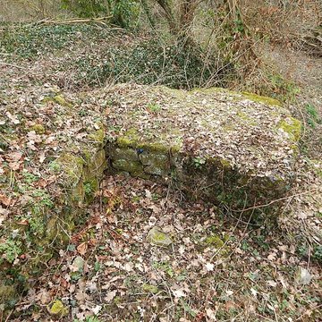 Vestiges du château de Butenheim