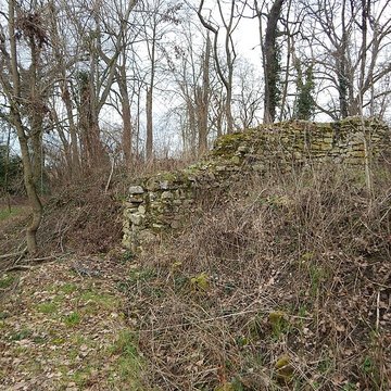 Vestiges du château de Butenheim