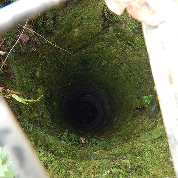 Vestiges du château de Butenheim