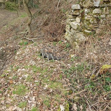 Vestiges du château de Butenheim