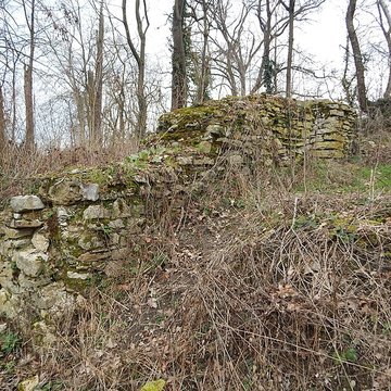 Vestiges du château de Butenheim