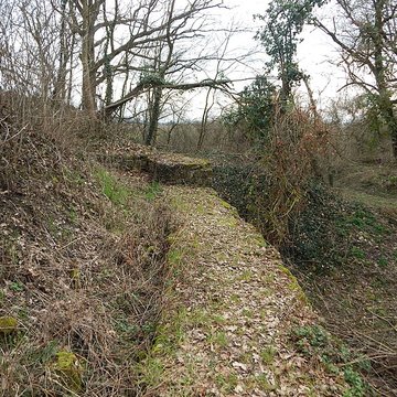 Vestiges du château de Butenheim