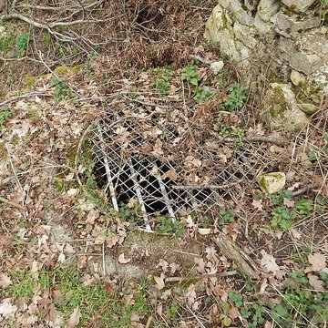 Vestiges du château de Butenheim