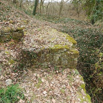 Vestiges du château de Butenheim