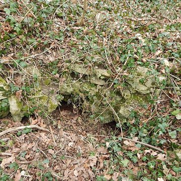 Vestiges du château de Butenheim