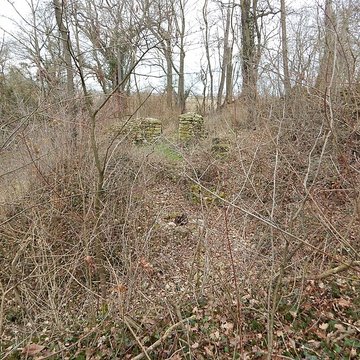 Vestiges du château de Butenheim