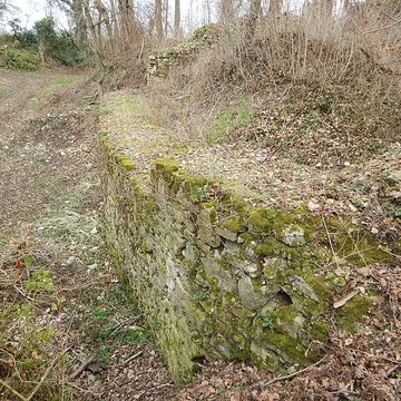 Vestiges du château de Butenheim