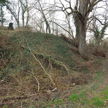 Vestiges du château de Butenheim