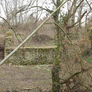Vestiges du château de Butenheim