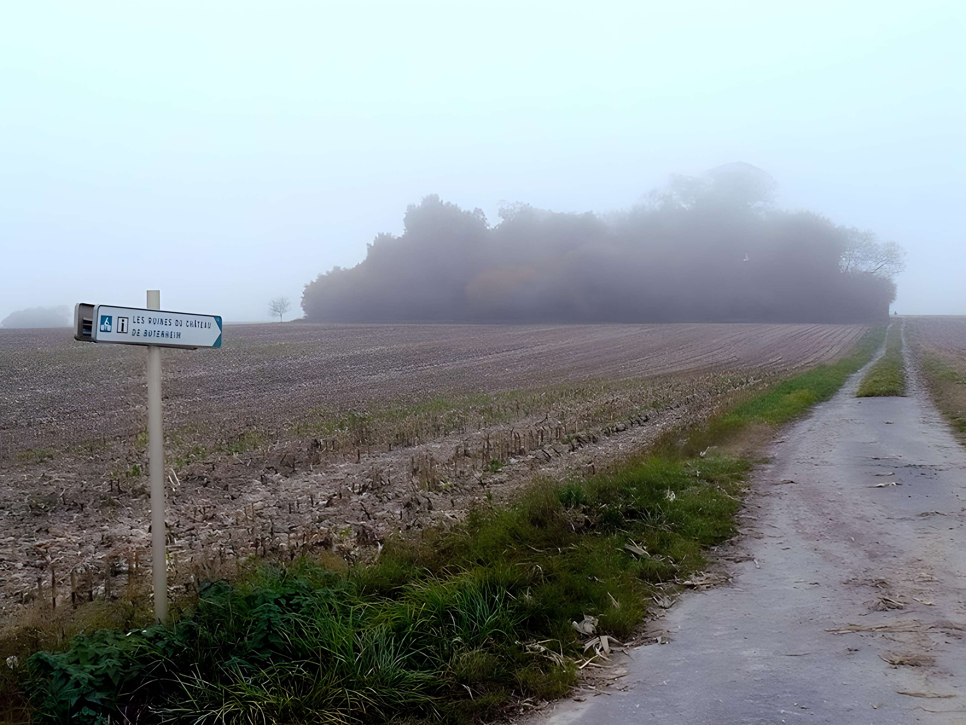 Vestiges du château de Butenheim