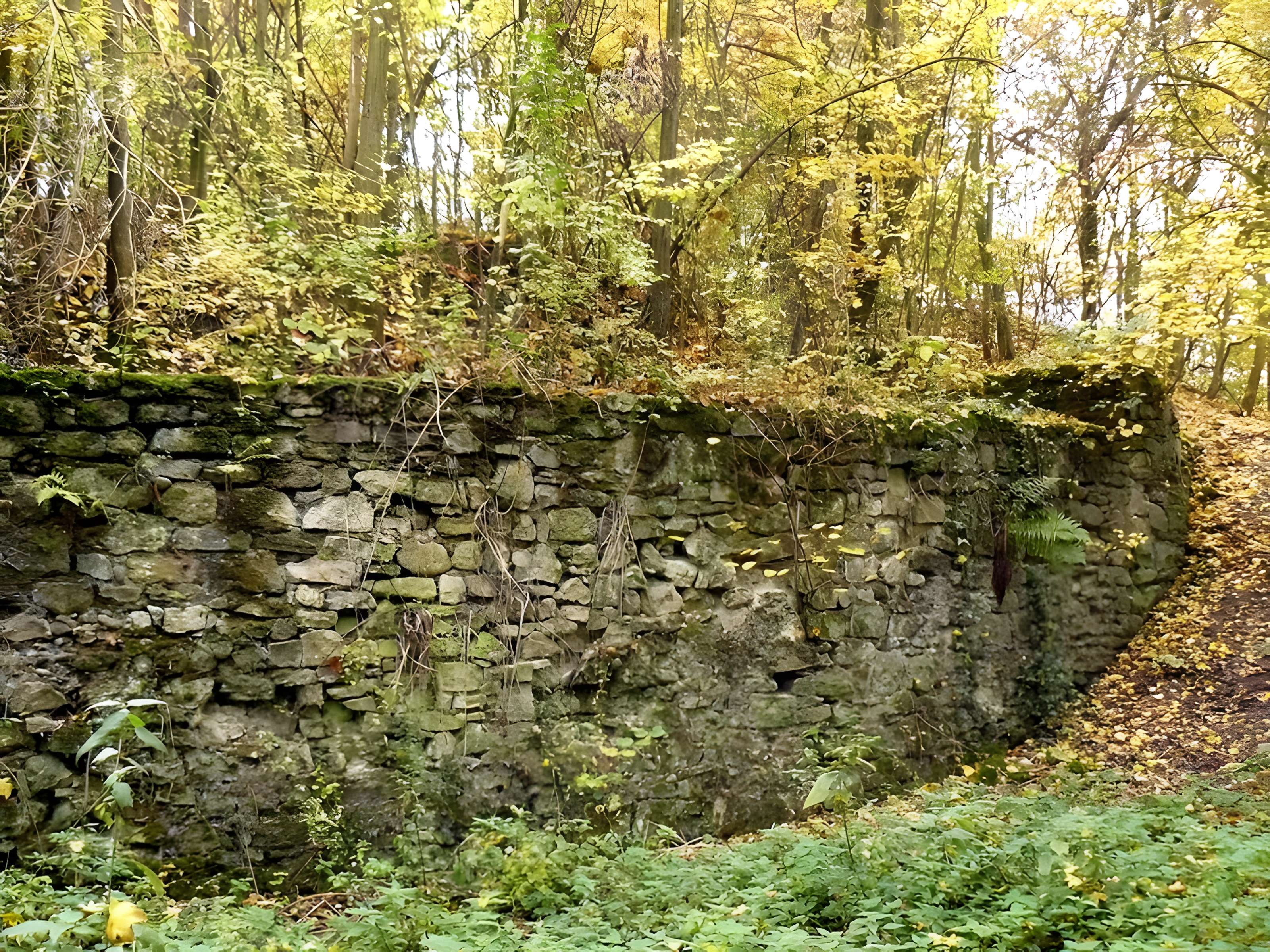 Vestiges du château de Butenheim